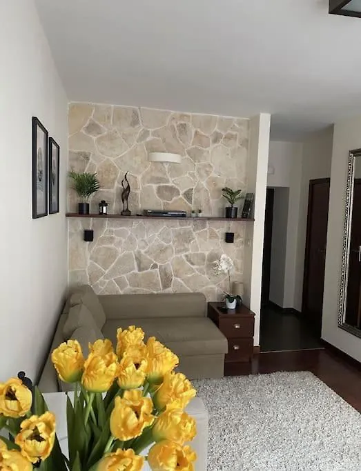 아파트 Apartament W Sercu Warszawy. 바르샤바